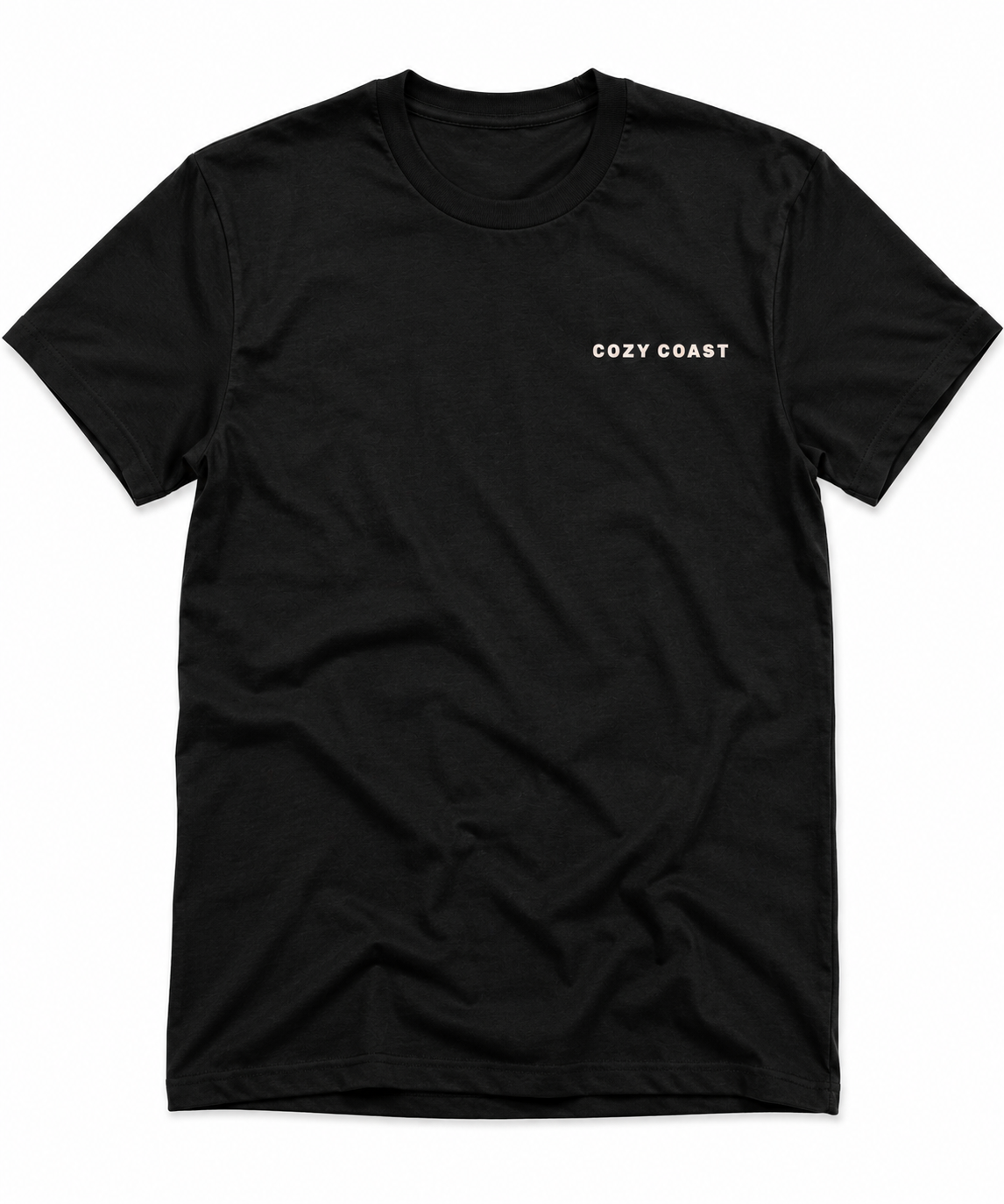 Find your true north T-Shirt
