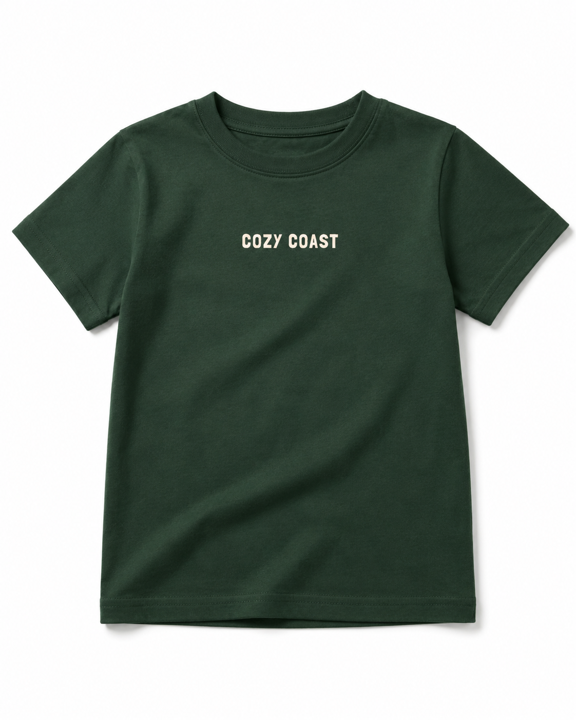 Kids Seagulls stole my snacks T-shirt